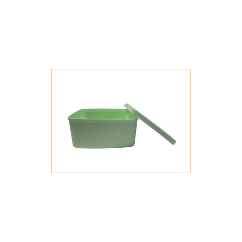 Practi refri (Menta) Practi refri (Menta)