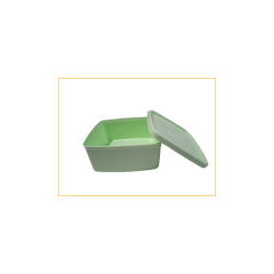 Practi refri  (Menta)
