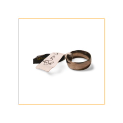 Anillo (Acero)